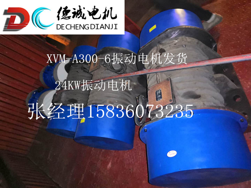XVM-A300-6C振動電機(jī).jpg XVM-A300-6C振動電機(jī).jpg