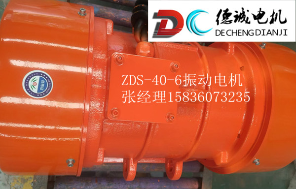 ZDS-40-6振動(dòng)電機(jī).jpg ZDS-40-6振動(dòng)電機(jī).jpg